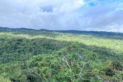 635829184892_175196706704279